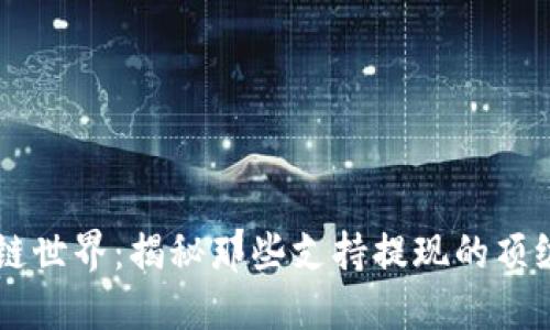 畅游区块链世界：揭秘那些支持提现的顶级钱包平台