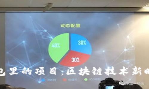 深入探讨TP钱包里的项目：区块链技术新时代的投资机会