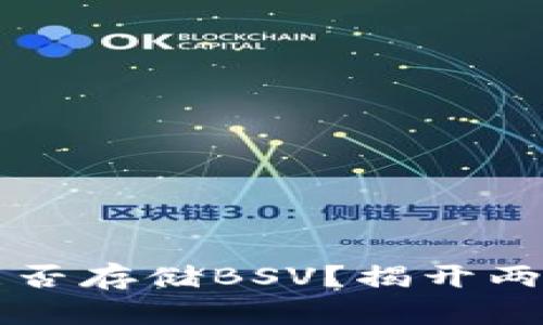 以太坊钱包能否存储BSV？揭开两者关系的真相