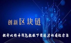 提升比特币钱包数据下载