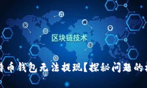 为什么我的比特币钱包无法提现？探秘问题的根源与解决方案