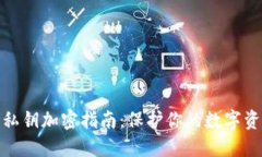 TP钱包私钥加密指南：保护