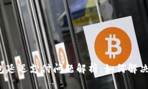  TP钱包延迟支付问题解析：如何解决与预防