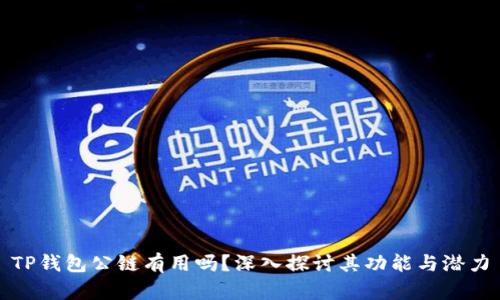 TP钱包公链有用吗？深入探讨其功能与潜力