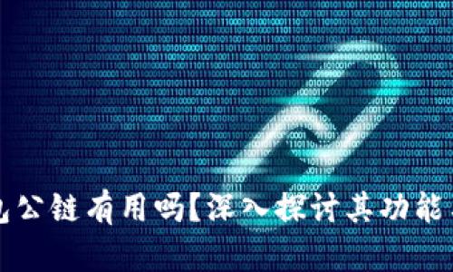TP钱包公链有用吗？深入探讨其功能与潜力