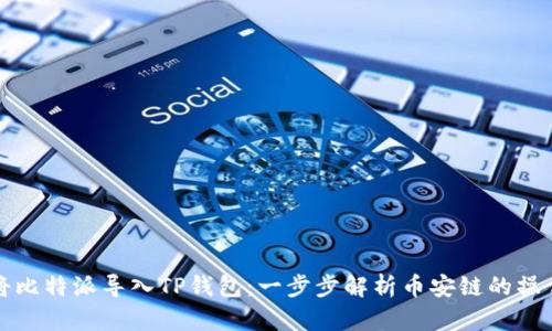 如何将比特派导入TP钱包：一步步解析币安链的操作指南