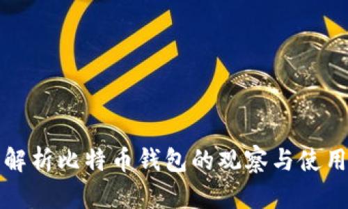 深度解析比特币钱包的观察与使用技巧