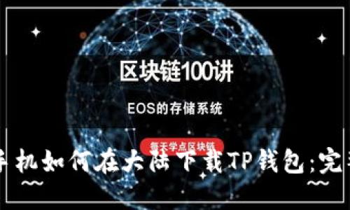 苹果手机如何在大陆下载TP钱包：完整指南