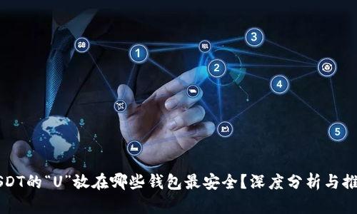 USDT的“U”放在哪些钱包最安全？深度分析与推荐