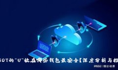 USDT的“U”放在哪些钱包最