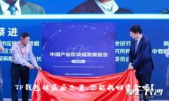 TP钱包被盗后立案，你能找