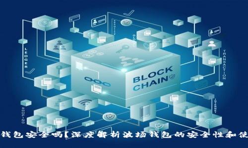 TP波场钱包安全吗？深度解析波场钱包的安全性和使用技巧