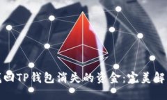 如何找回TP钱包消失的资金：完美解决方案