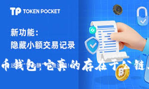 比特币钱包：它真的存在于公链上吗？