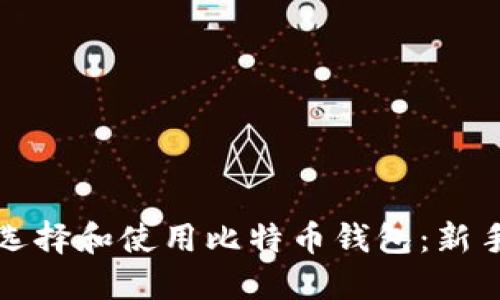 如何选择和使用比特币钱包：新手指南