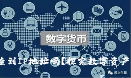 tTP钱包能查到IP地址吗？探究数字资产隐私与安全