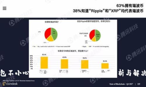 TP钱包不小心被删除了能找回吗？全面解析与解决方案