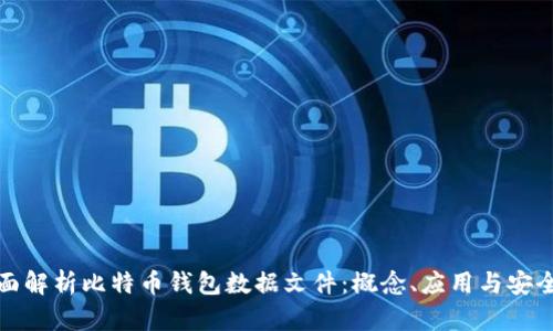 全面解析比特币钱包数据文件：概念、应用与安全性