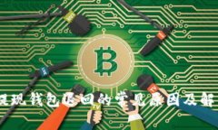 USDT提现钱包退回的常见原