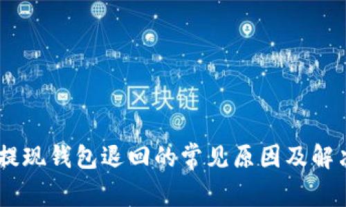 USDT提现钱包退回的常见原因及解决方案