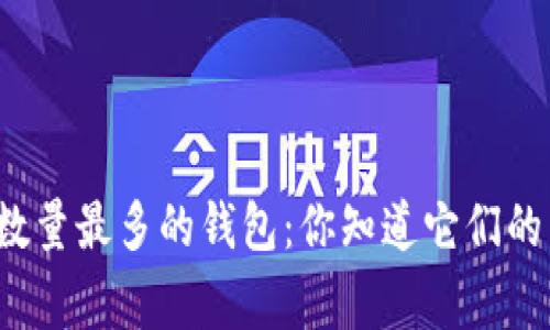 揭秘比特币数量最多的钱包：你知道它们的背后故事吗？