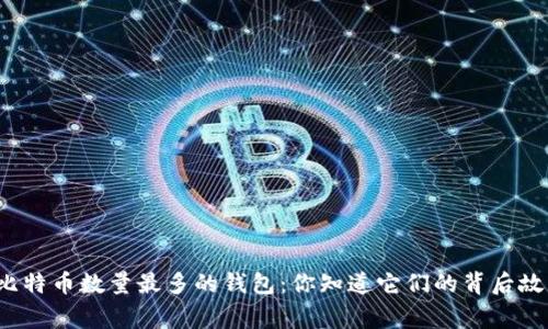 揭秘比特币数量最多的钱包：你知道它们的背后故事吗？