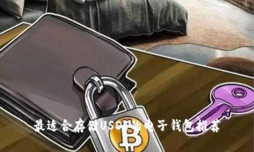 最适合存储USDT的电子钱包推荐