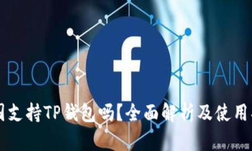 中国支持TP钱包吗？全面解析及使用指南