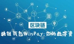 全面解析区块链钱包WinP