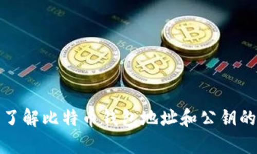 深入了解比特币钱包地址和公钥的奥秘