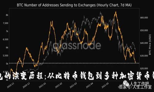 区块链钱包的演变历程：从比特币钱包到多种加密货币钱包的崛起