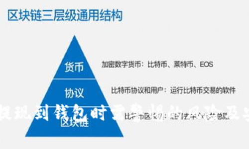 虚拟币提现到钱包时需警惕的风险及安全对策