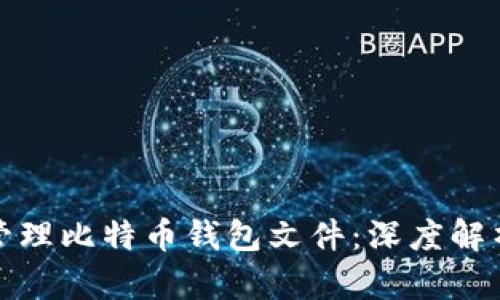 如何安全地管理比特币钱包文件：深度解析与实用建议