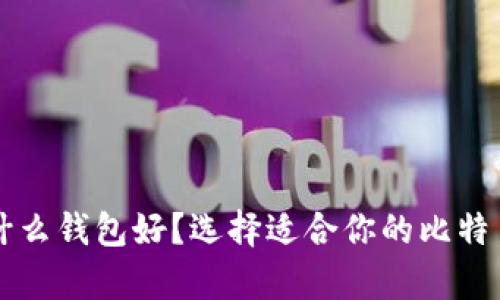 比特币存什么钱包好？选择适合你的比特币钱包指南