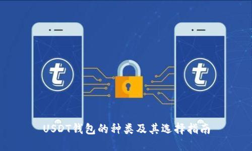 USDT钱包的种类及其选择指南