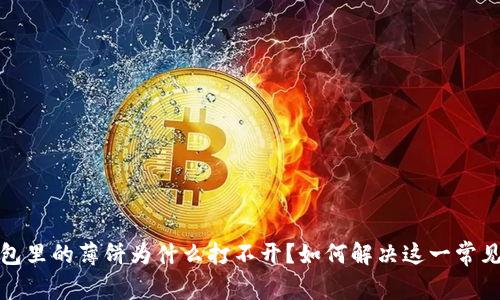 TP钱包里的薄饼为什么打不开？如何解决这一常见问题