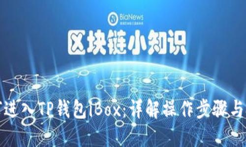 如何进入TP钱包iBox：详解操作步骤与技巧
