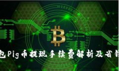 TP钱包Pig币提现手续费解析