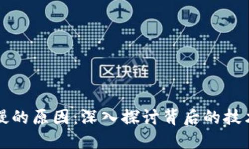 区块链钱包慢的原因：深入探讨背后的技术与解决方案