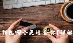 比特币轻钱包哪个更适合