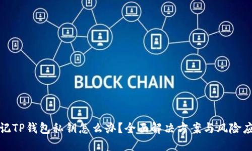 忘记TP钱包私钥怎么办？全面解决方案与风险应对