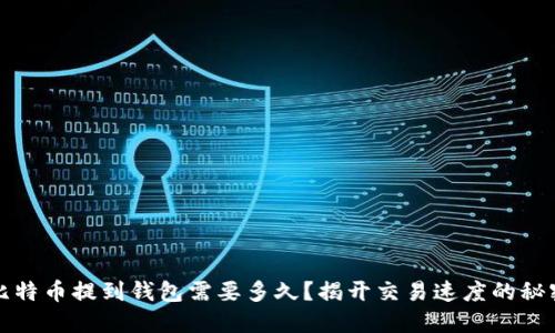 比特币提到钱包需要多久？揭开交易速度的秘密