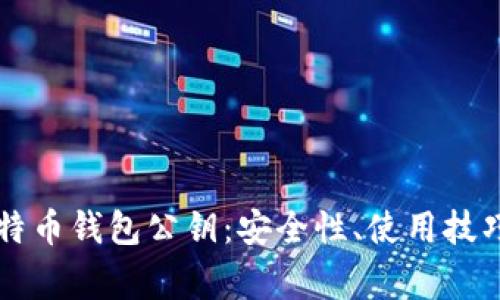 深度解析比特币钱包公钥：安全性、使用技巧与常见误区