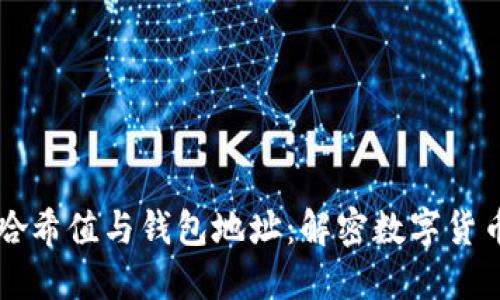 区块链中的哈希值与钱包地址：解密数字货币世界的核心