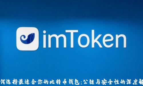
如何选择最适合你的比特币钱包：公链与安全性的深度解析