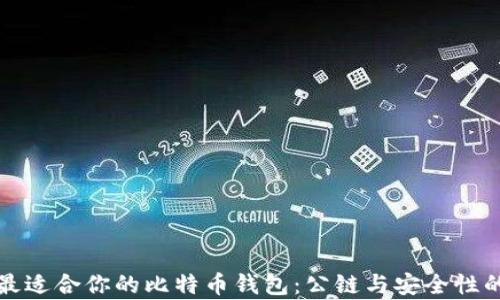 
如何选择最适合你的比特币钱包：公链与安全性的深度解析