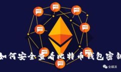 如何安全查看比特币钱包