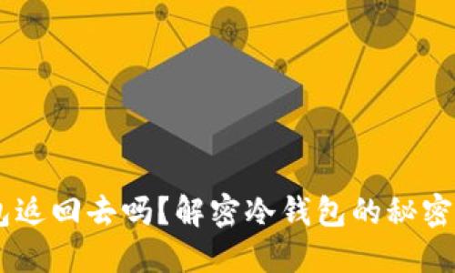 USDT会从冷钱包返回去吗？解密冷钱包的秘密与数字资产安全