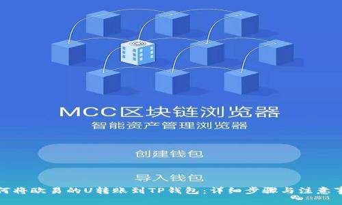 如何将欧易的U转账到TP钱包：详细步骤与注意事项