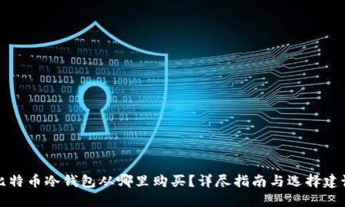 比特币冷钱包从哪里购买？详尽指南与选择建议